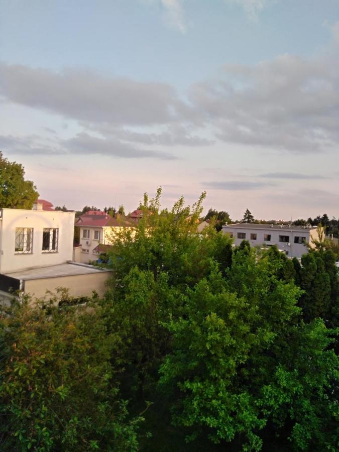 La Madriguera Bed & Breakfast Raszyn Bagian luar foto