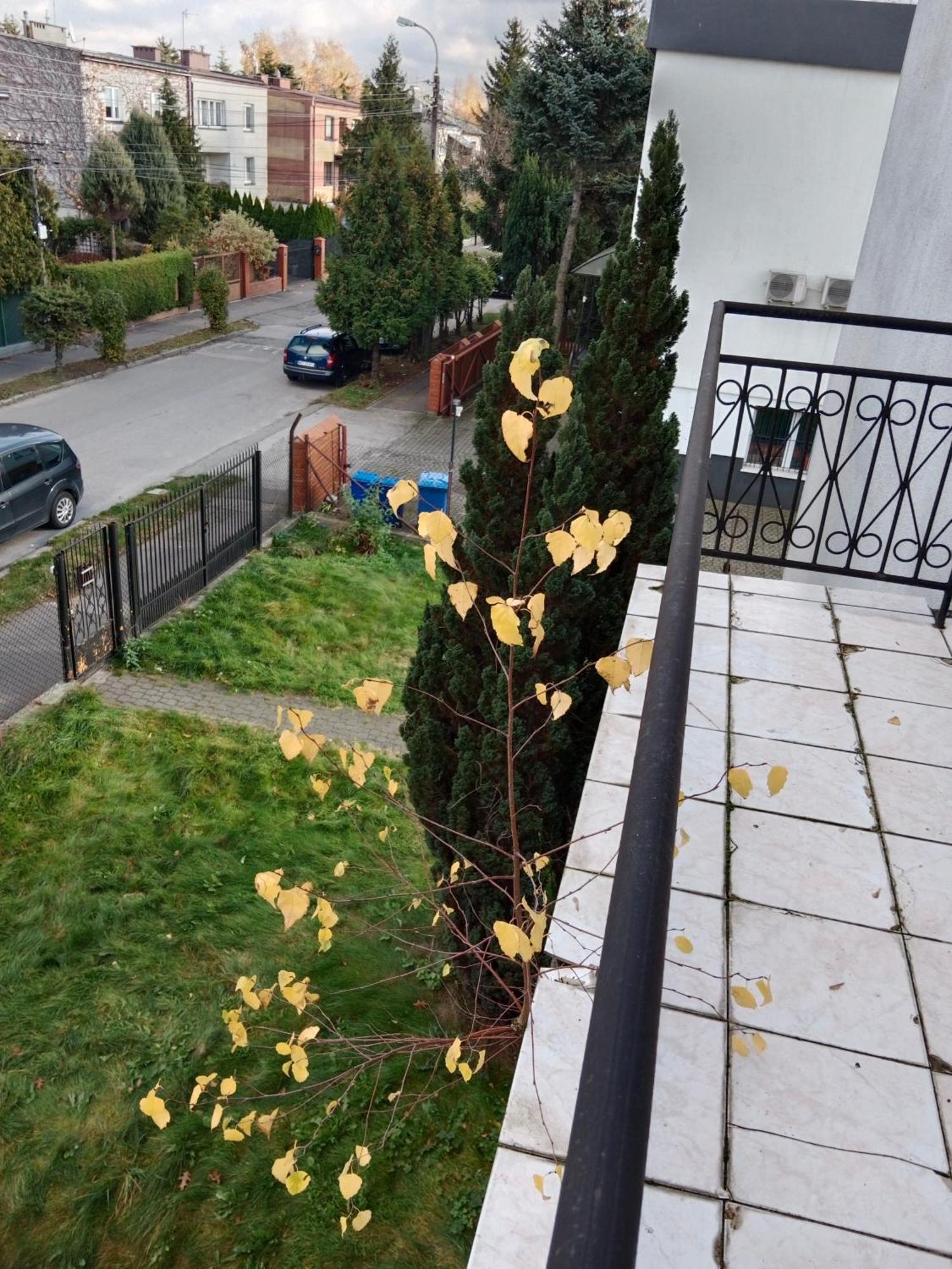La Madriguera Bed & Breakfast Raszyn Bagian luar foto